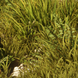 be7554ab3ab7.png