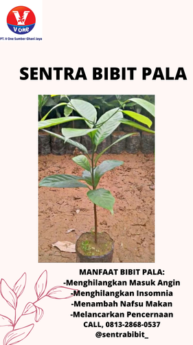 png 20221114 061117 0000.png