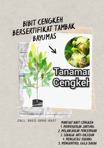 png 20221114 091249 0000.png