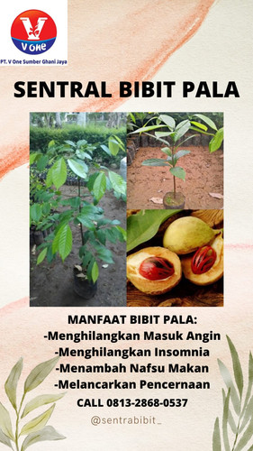 IMG 20221114 WA0001.jpg