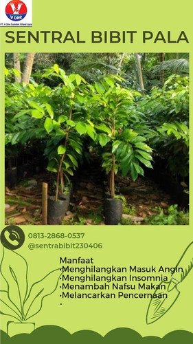 IMG 20221110 WA0027.jpg