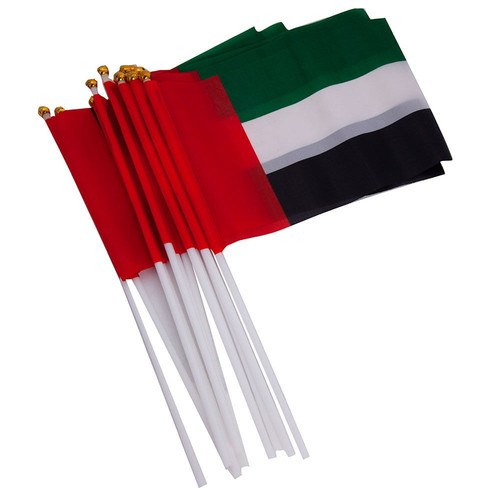 uae flag 12pc.jpg