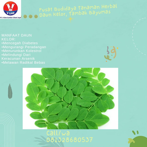 IMG 20221114 104928 962.jpg