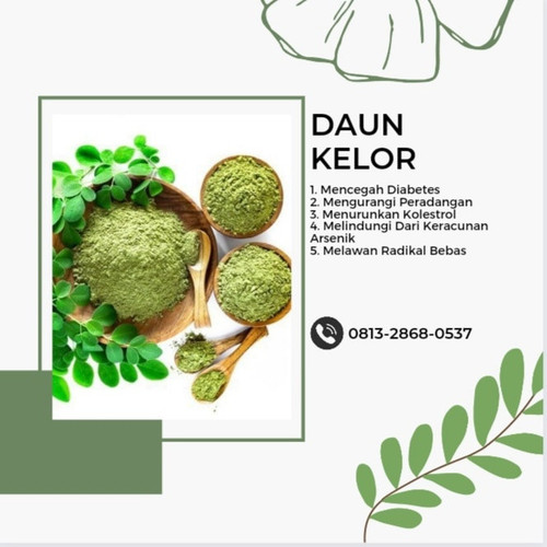 IMG 20221114 104942 524.jpg