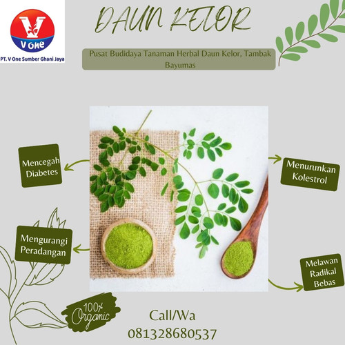 IMG 20221114 104846 859.jpg