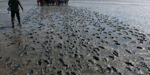 Screenshot 2022 11 14 at 10.35.08.png