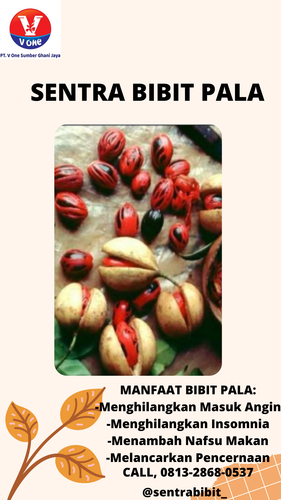 png 20221114 055819 0000.png