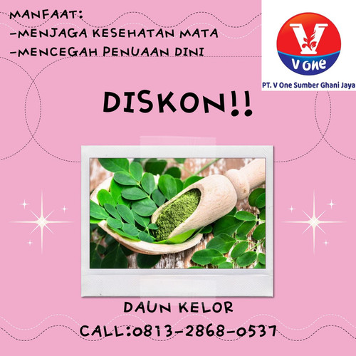 Pusat Budidaya Herbal Daun Kelor Petani Tambak Bayumas.jpg