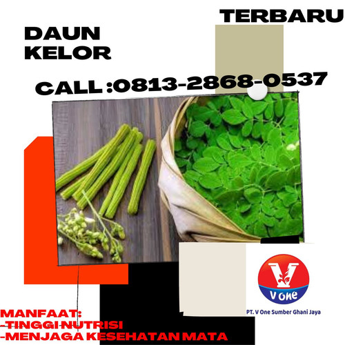 Pusat Budidaya Herbal Daun Kelor Sehat Tambak Bayumas.jpg