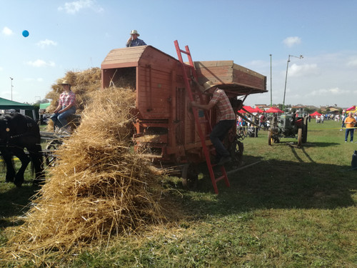 IMG 20190929 113336.jpg