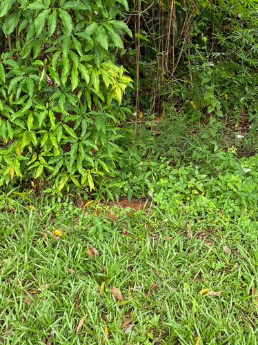 WhatsApp Image 2022 11 14 at 4.50.27 PM.jpg