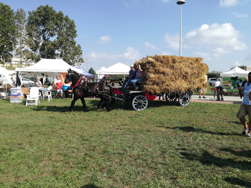 IMG 20190929 112743.jpg