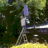 osi.gif