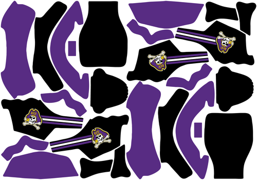 East Carolina Pirates NCAA Jordan Sneakers Shoes T2910 V01 195 design.png