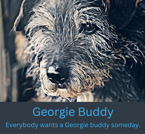 Georgie Buddy Logo 2 (1).png