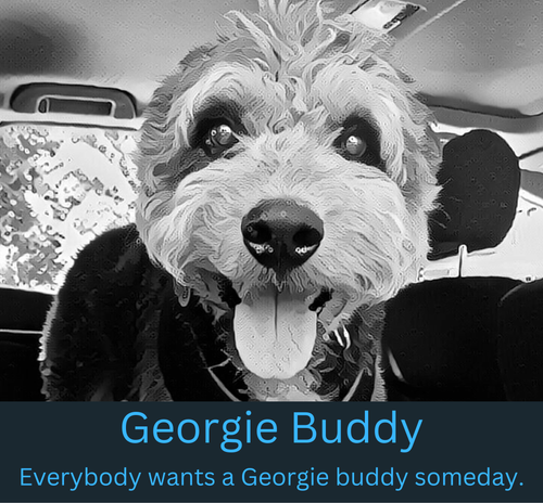 Copy of Georgie Buddy Logo 2 (2).png