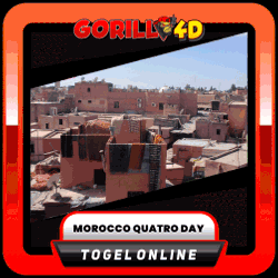 maroco day.gif