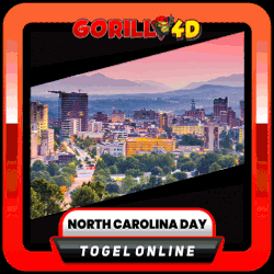 carolina day.gif