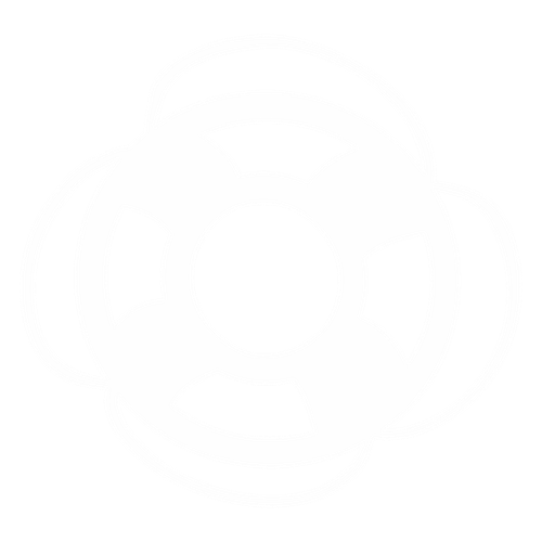 lifesaver.png