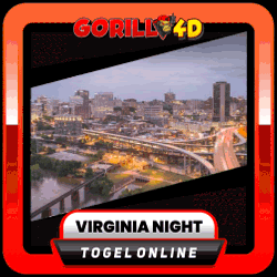 virginia night.gif