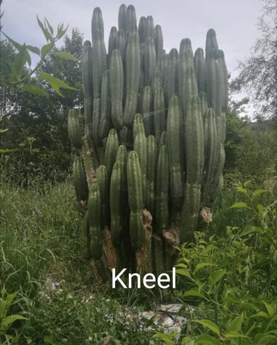 1668131025332.png