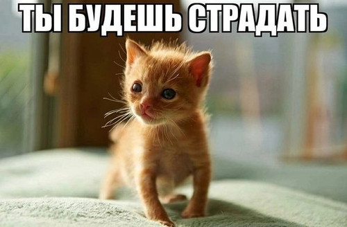 IMG 20221109 083408 030.jpg