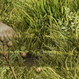 2f65d01c8f77.png