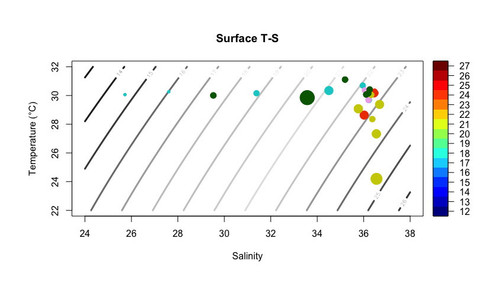 file1.jpg