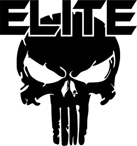 elite skull.jpg