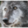favicon 32x32[1].png