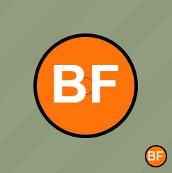 Barba Flu 1.jpg