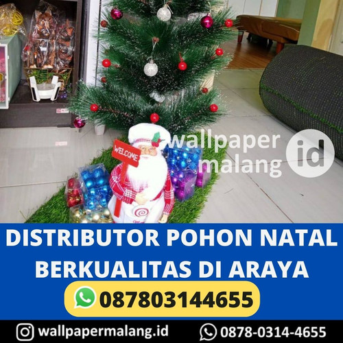 DISTRIBUTOR POHON NATAL BERKUALITAS DI ARAYA.jpg