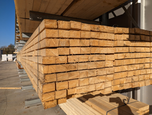 PXL 20221114 120130810.jpg