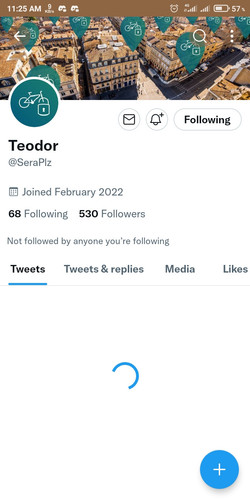 Screenshot 2022 11 12 11 25 07 059 com.twitter.android.jpg