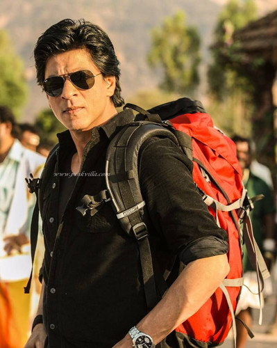 srk3.jpg