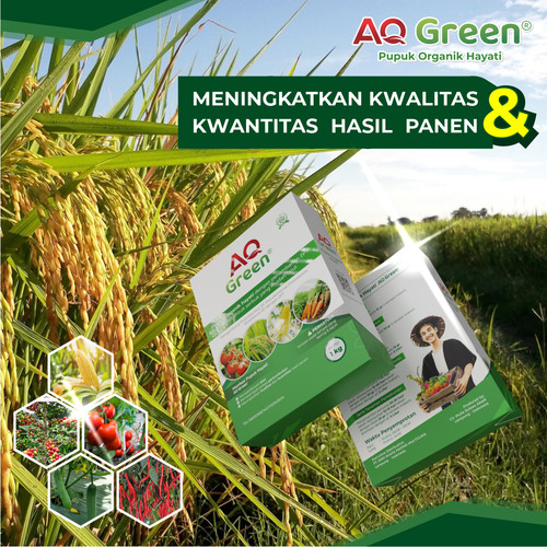 TERBUKTI, Call WA 0811 7252 169 Jual pupuk organik floraone di Lampung Timur.jpg
