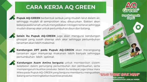 PUPUK TERBAIK, Call WA 0811 7252 169 Supplier pupuk organik fosfor di Lampung Timur.png