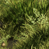 fbabb307794b.png