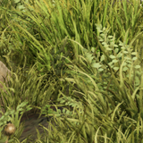 65e5b1b156c5.png