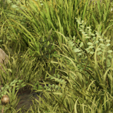 5ec367b3a9f2.png