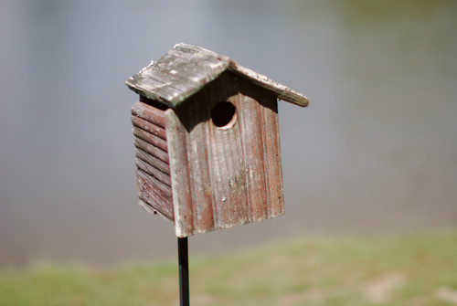 Birdhouse f1.2.jpg