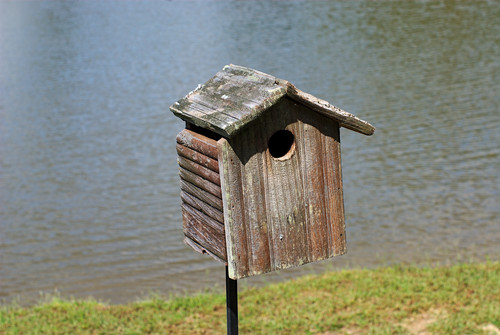 Birdhouse f8.jpg