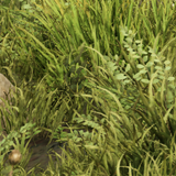 060d683b7e47.png