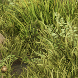 f29eb9f13293.png