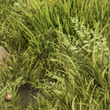 d48716e851b7.png