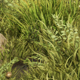 50cf5a6135b7.png