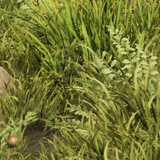 61344c1f0d01.png