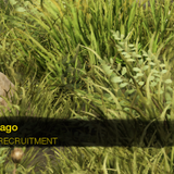 00af5257dfa5.png