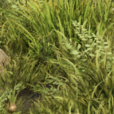 912f9f5bf3ba.png