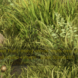 71b5aa9f9c12.png
